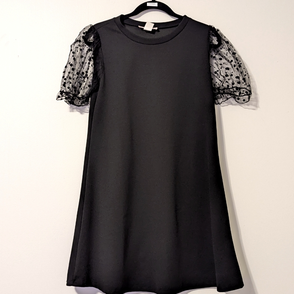 Black Dress with Sheer Sleeves